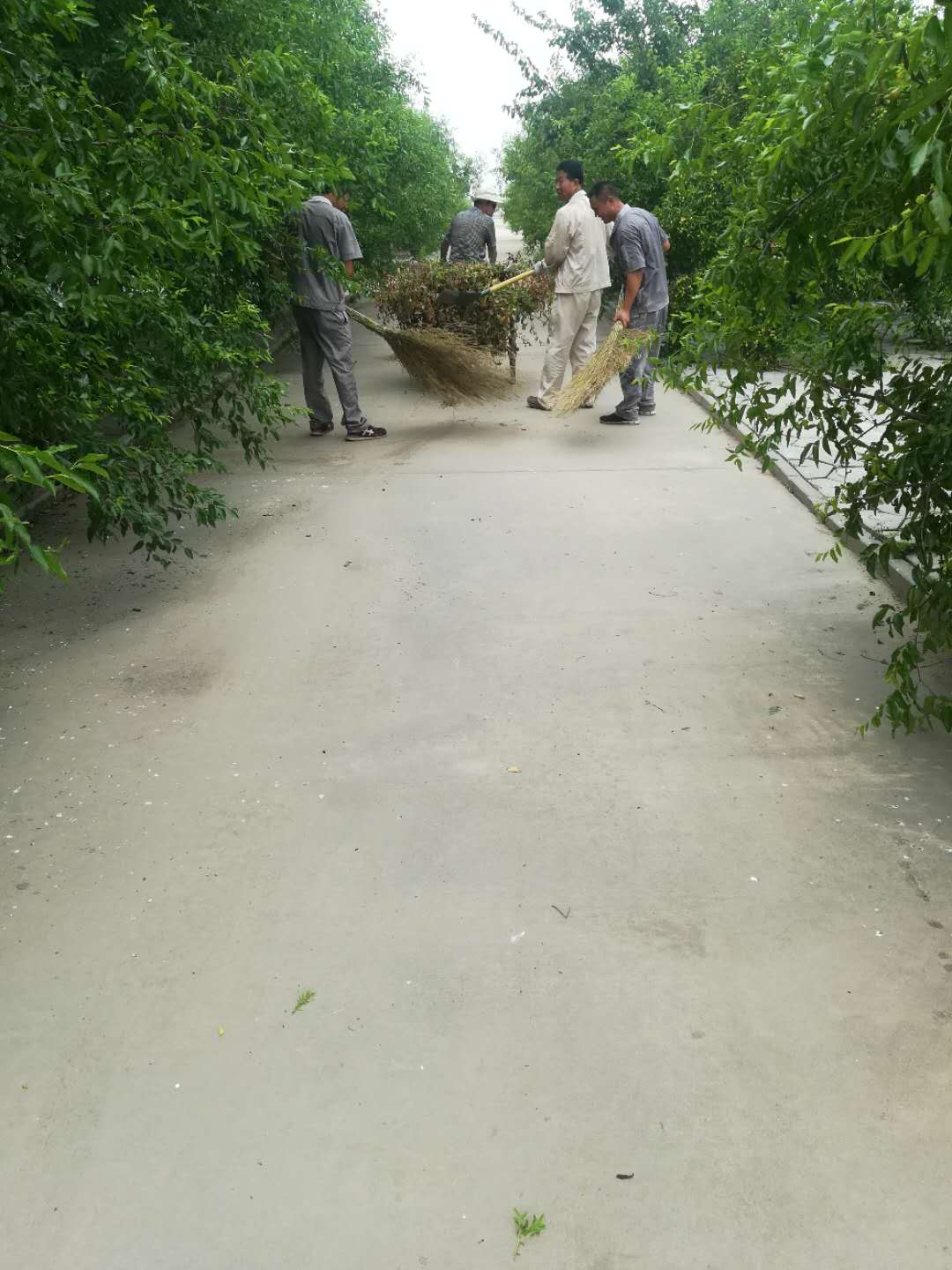 �GԴ���R���ֹ������ÏS�^(q��)